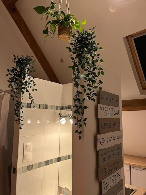 Magnifique Loft 2-3 Personnes Tout Confort Boulogne-sur-Mer Zewnętrze zdjęcie
